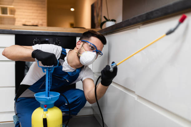 Best Pest Control Cost  in West Athens, CA