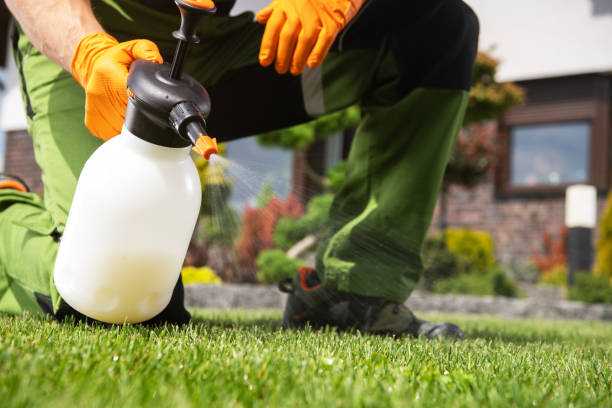 Pest Control Cost in West Athens, CA