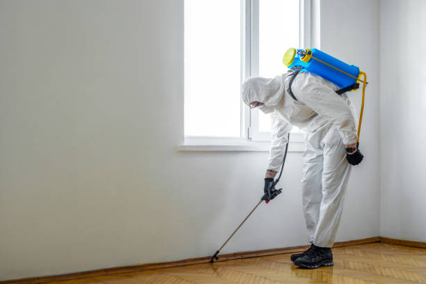 Best Mosquito Control Services  in West Athens, CA