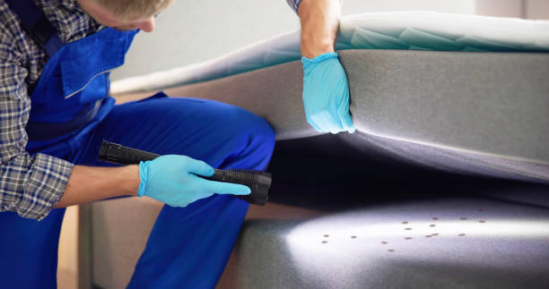 Best Flea Control Services  in West Athens, CA