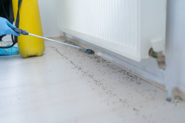Best Pest Control for Restaurants  in West Athens, CA